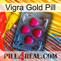 Vigra Gold Pill 13